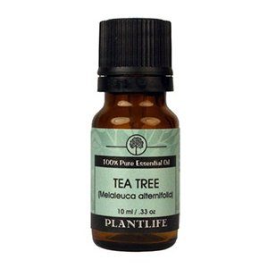 Tea Tree Oil – A Cheap and Effective Acne Treatment ($6)