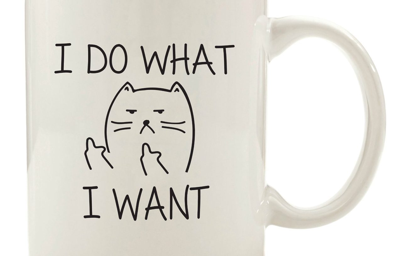 Cool Cat Cup – Perfect For Your Desk!